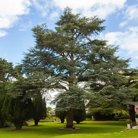 The Parsonage & فندق