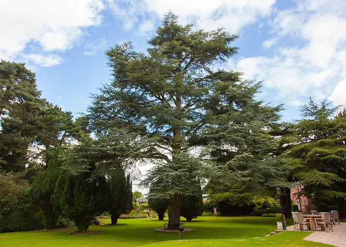 The Parsonage & Hotel