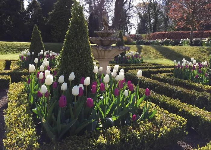 מלון The Parsonage & יורק